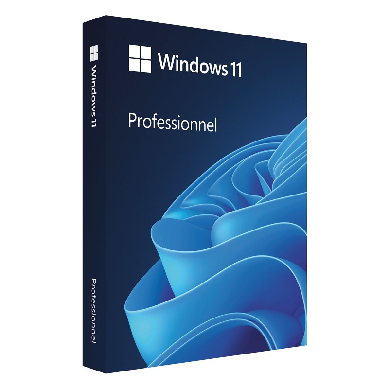 Microsoft Windows 11 Professionnel 64 bits - OEM (DVD)
